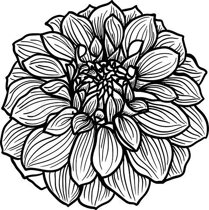 Detailed Dahlia Flower Coloring Page