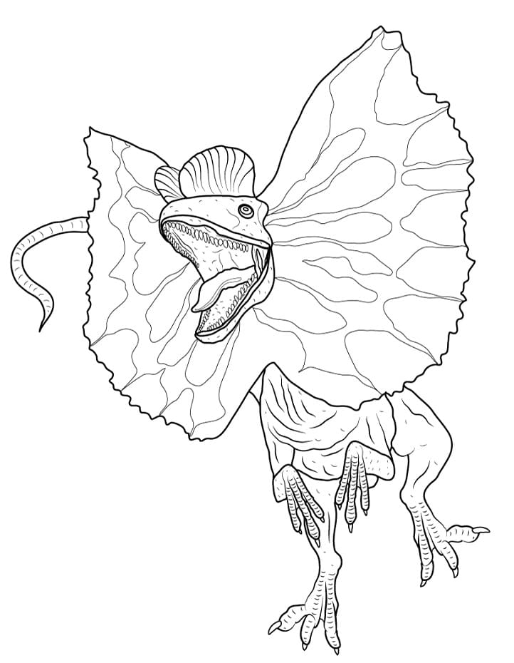 Dilophosaurus 5