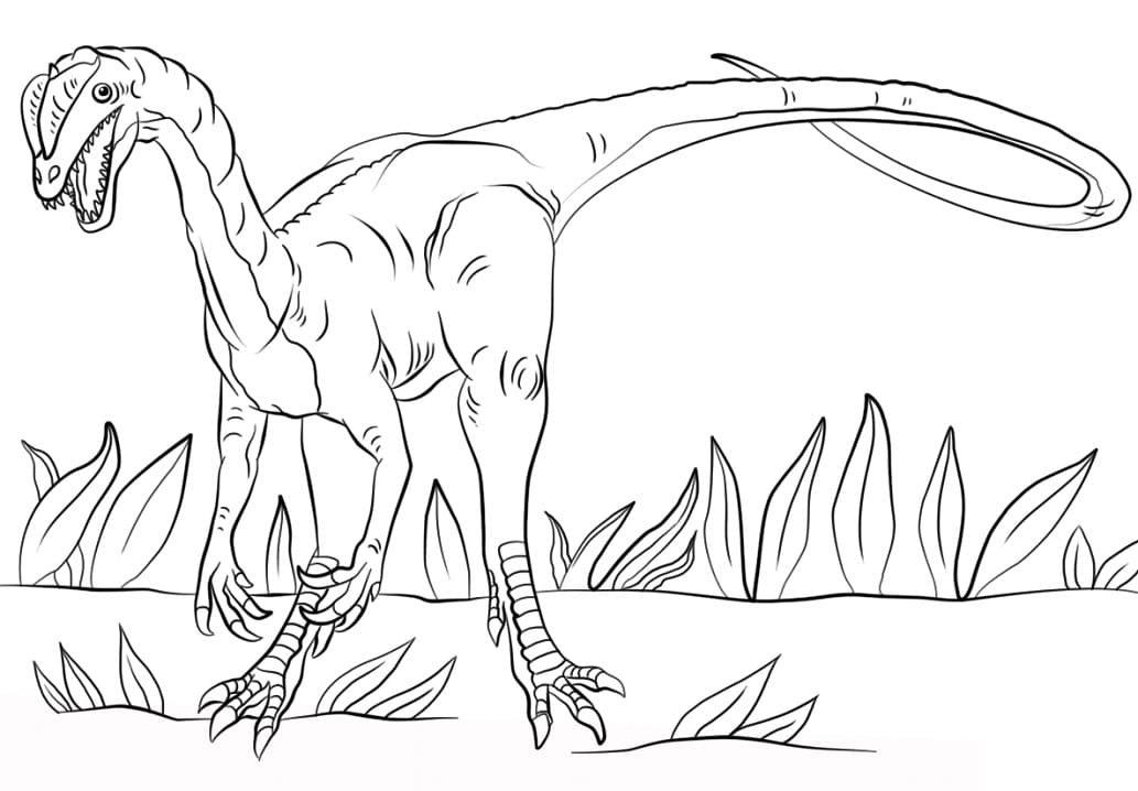 Dilophosaurus 6