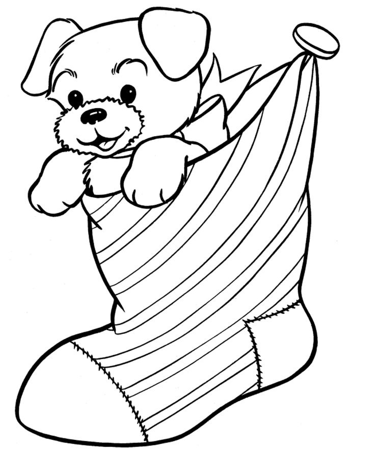 Dog In A Sock Coloring Page