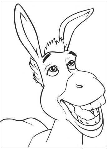 Donkey Smiling