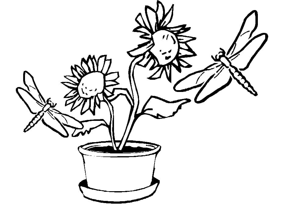 Dragonflies and Flowers Coloring Page