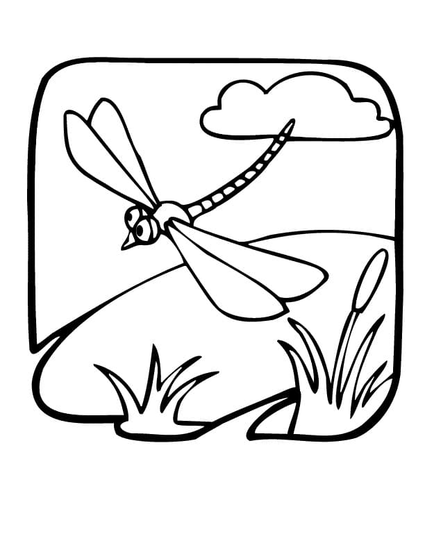 Dragonfly is Flying Coloring Page