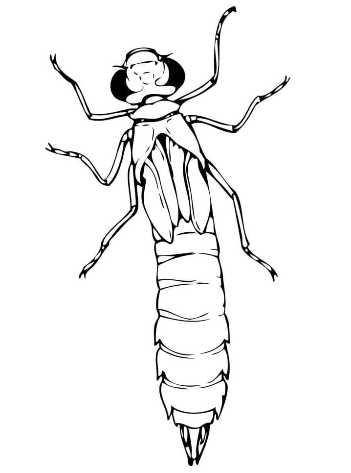 Dragonfly Nymph Coloring Page