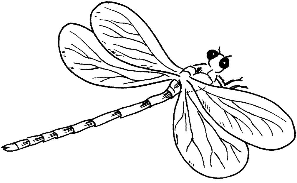 Dragonfly Printable