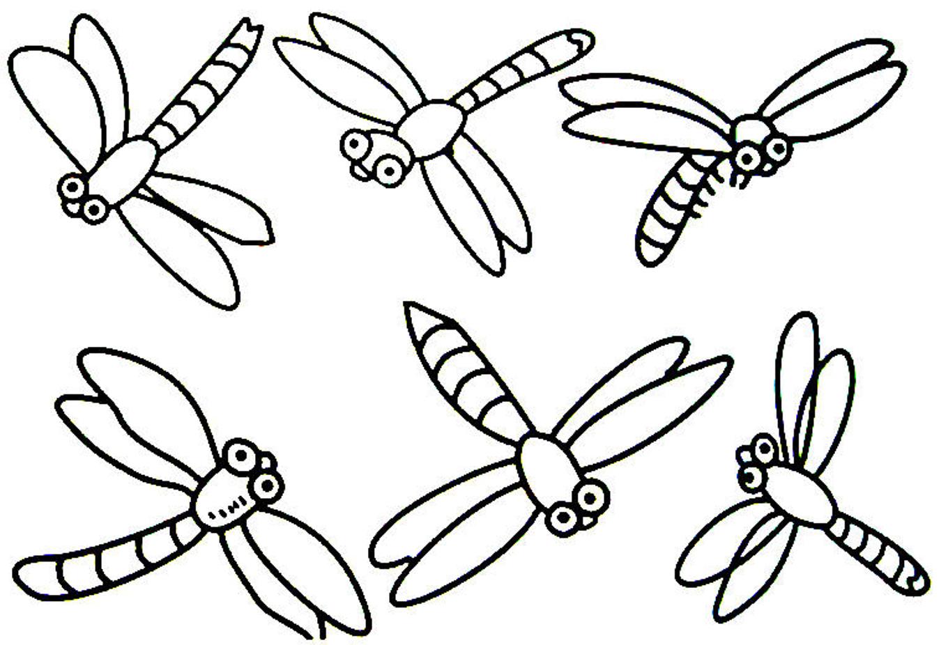Dragonfly S Of Animalseeac