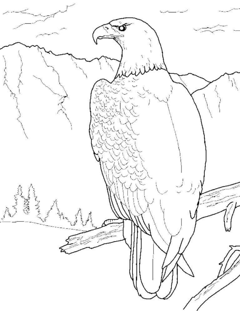 Eagle 5 Coloring Page