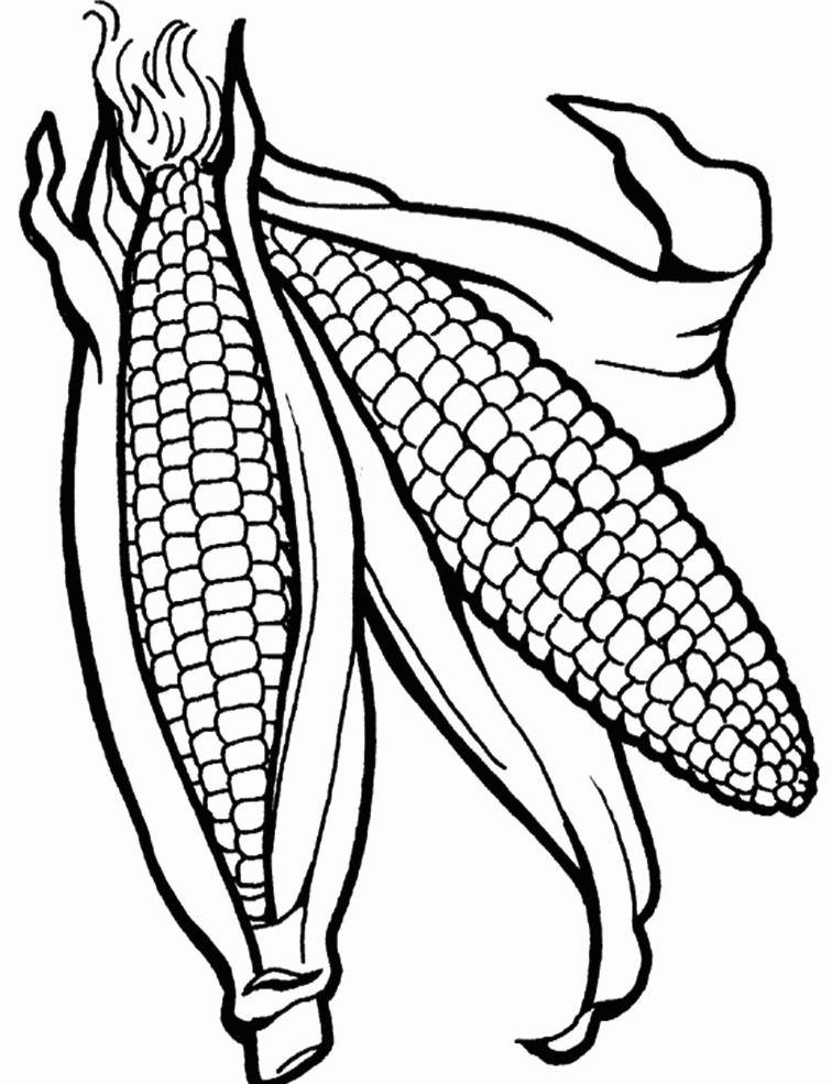 Ears Of Corns