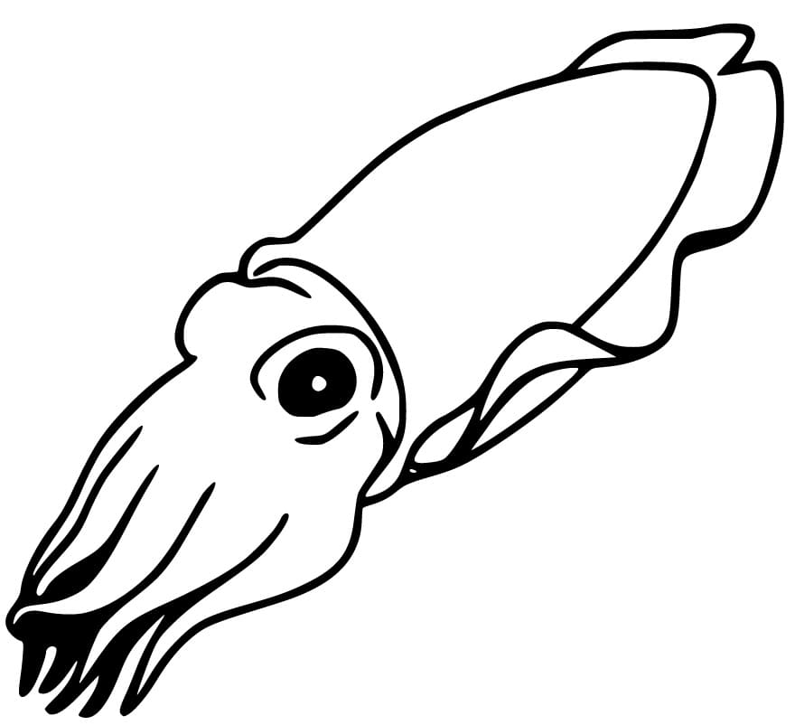 Easy Cuttlefish