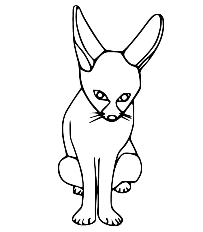 Easy Fennec Fox Coloring Page