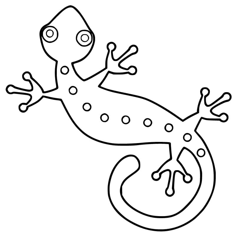 Easy Gecko Coloring Page