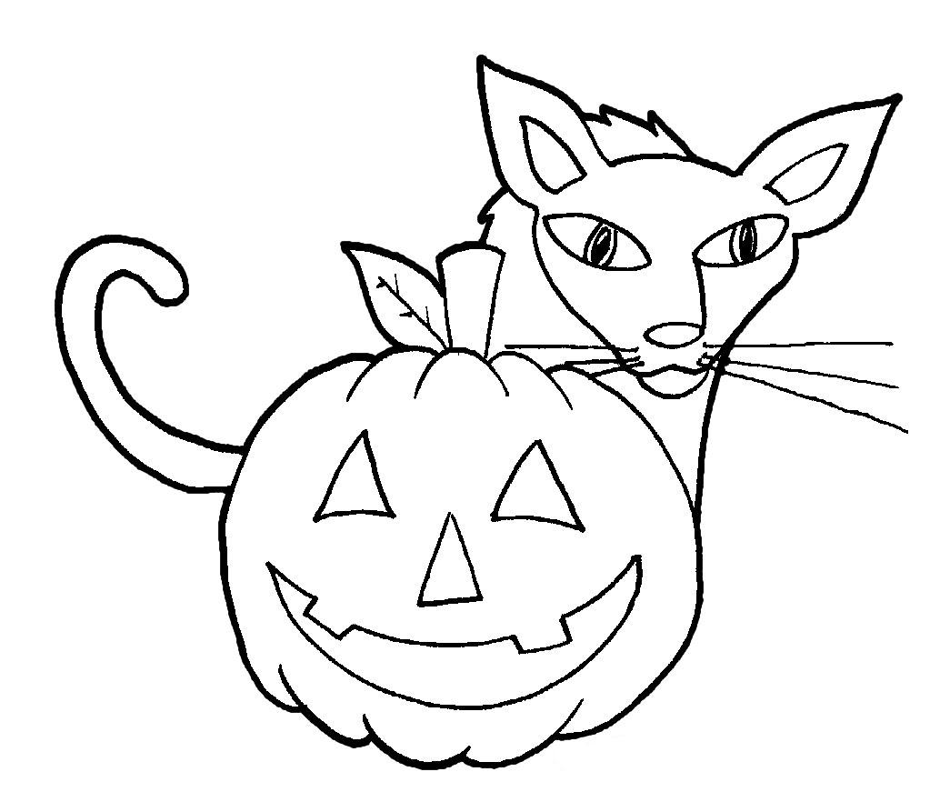 Easy Halloween Cat And Pumpkin For Kindergarten Coloring Page