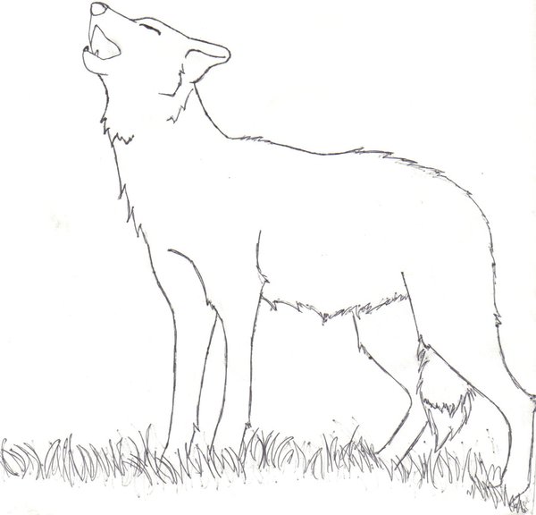 Easy Howling Wolf Coloring Page