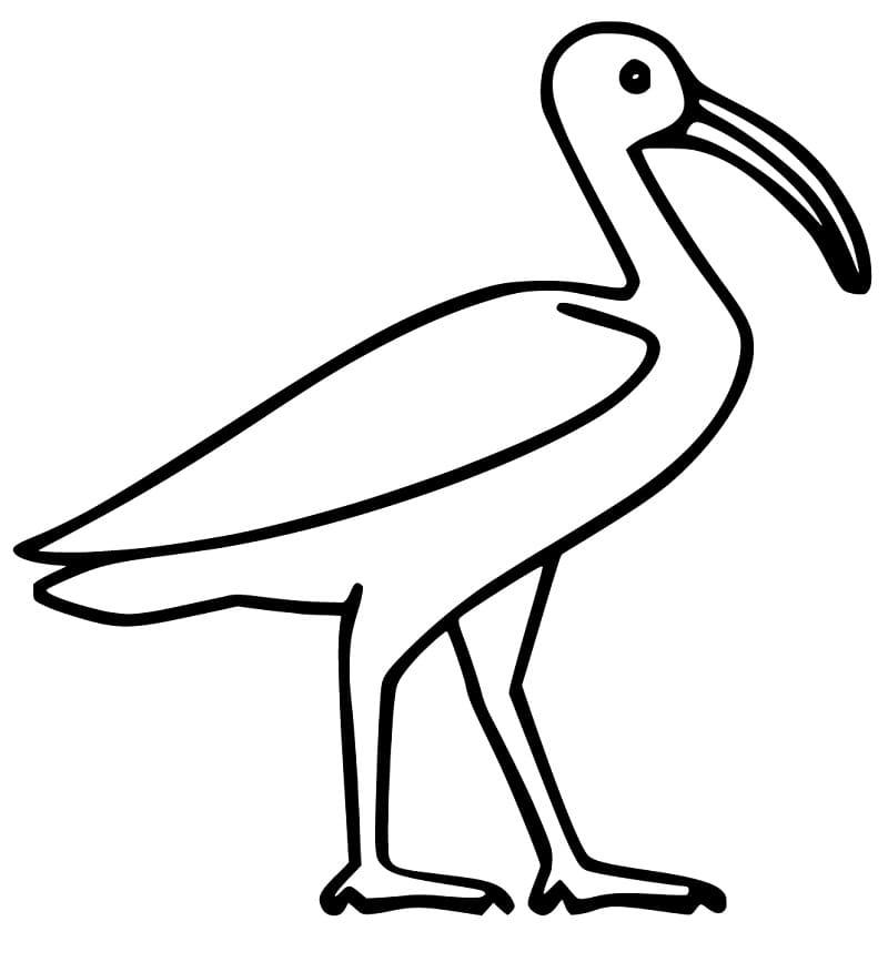 Easy Ibis Coloring Page