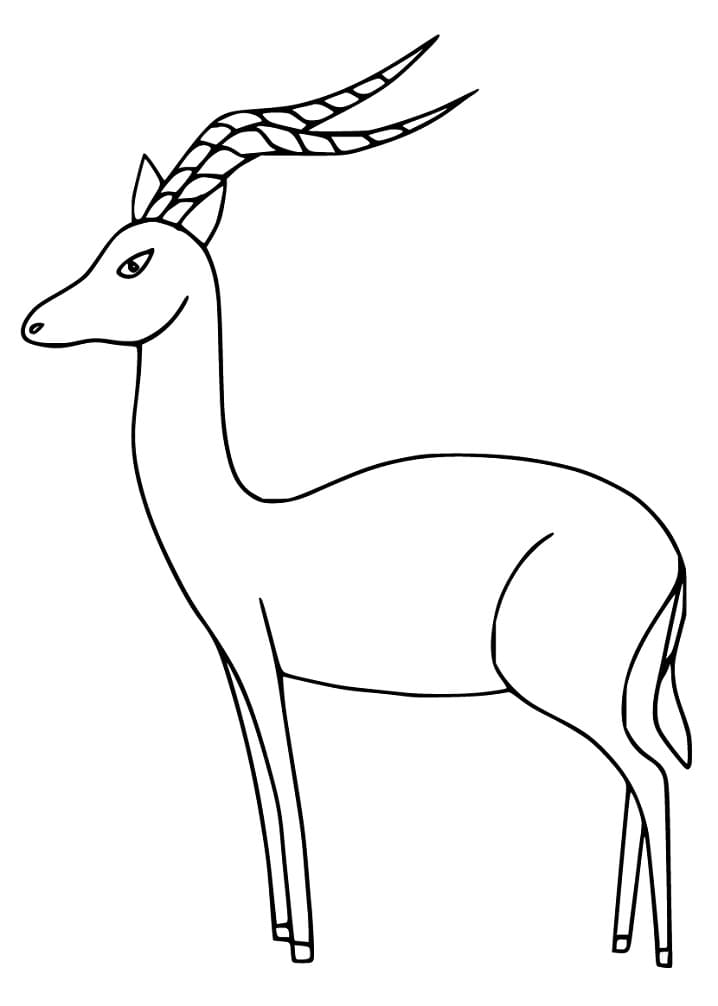 Easy Impala Coloring Page