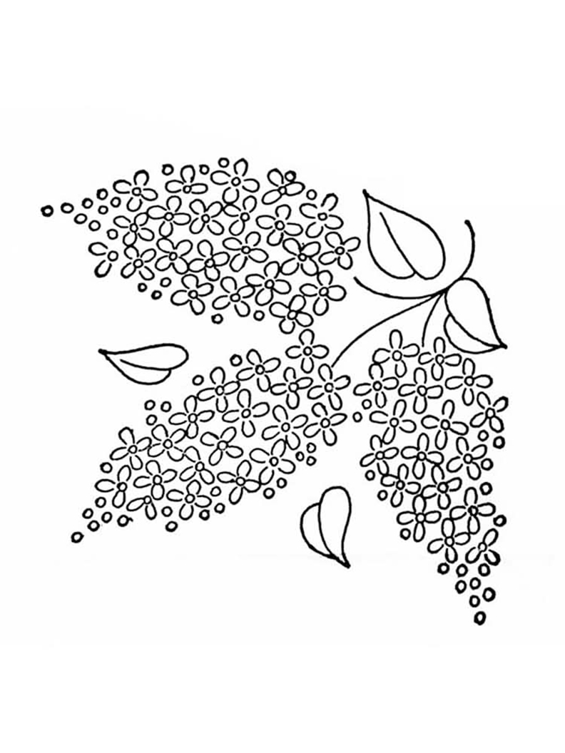 Easy Lilacs Coloring Page