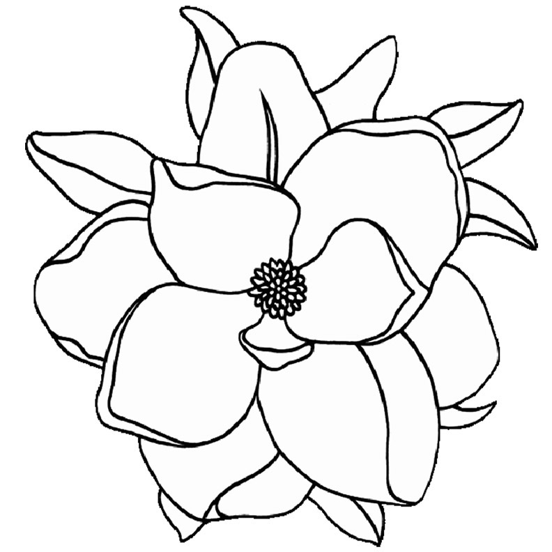 Easy Magnolia Flowers Coloring Page
