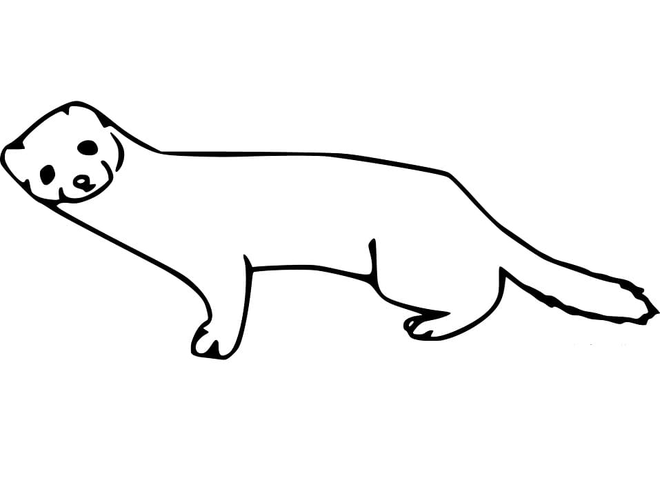 Easy Mink Coloring Page