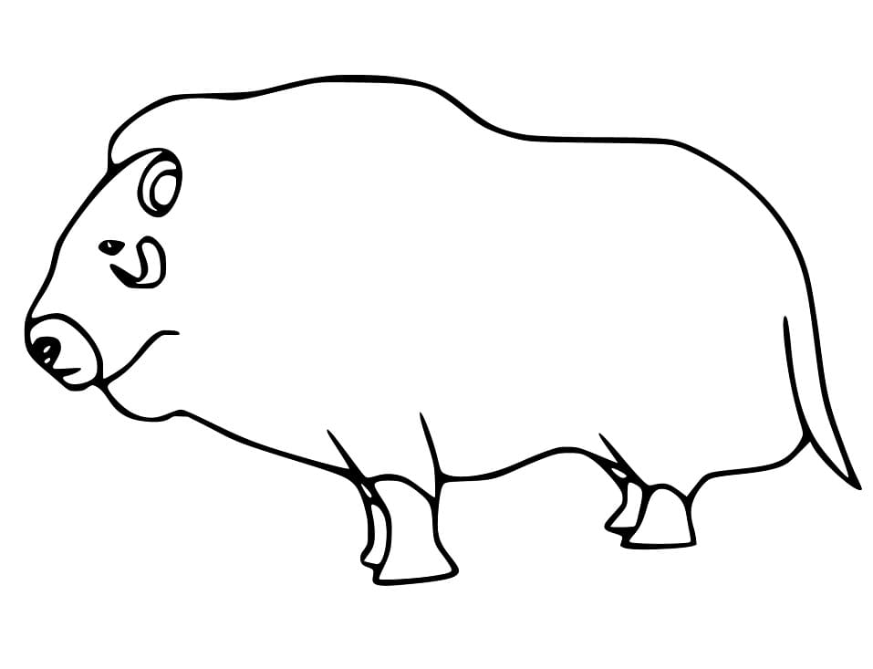 Easy Musk Ox Coloring Page