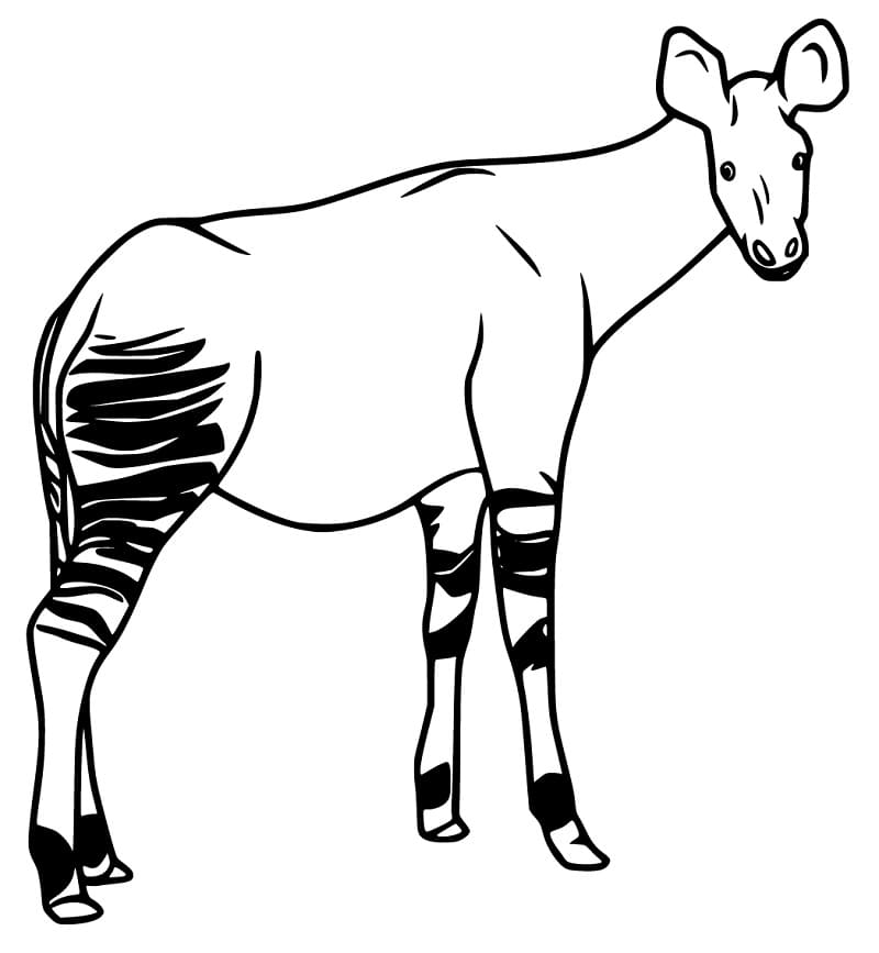 Easy Okapi Coloring Page