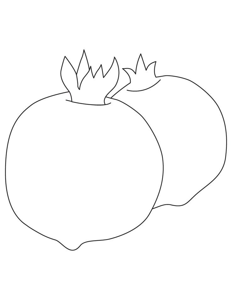Easy Pomegranate Coloring Sheet