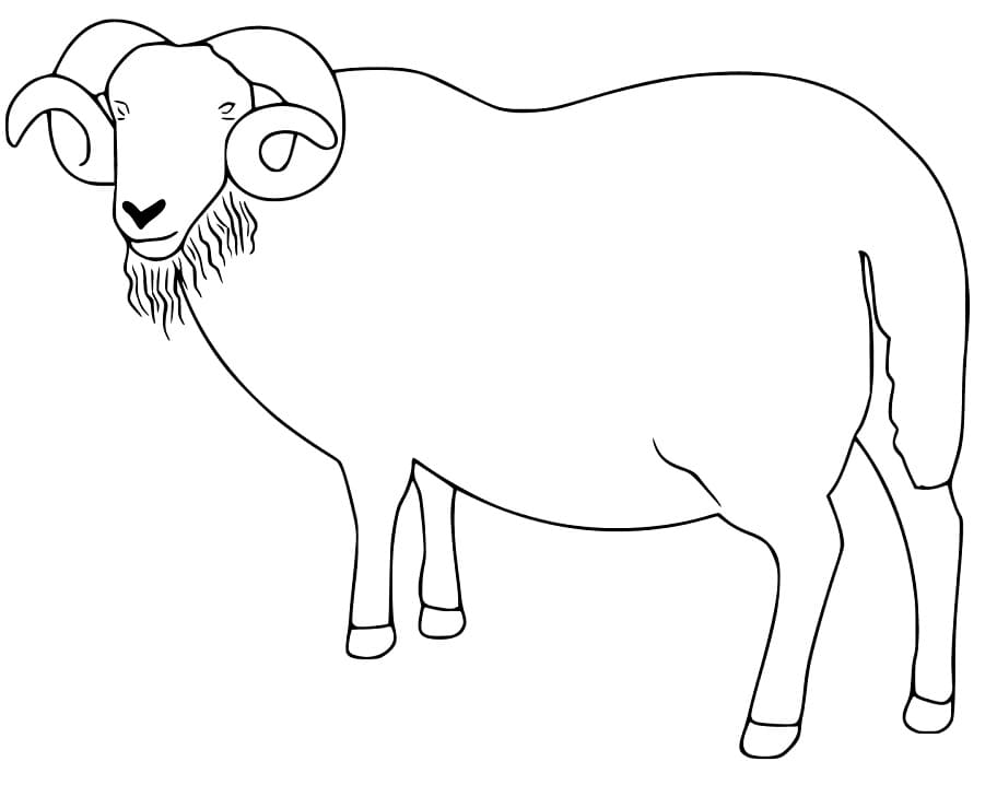 Easy Ram Coloring Page
