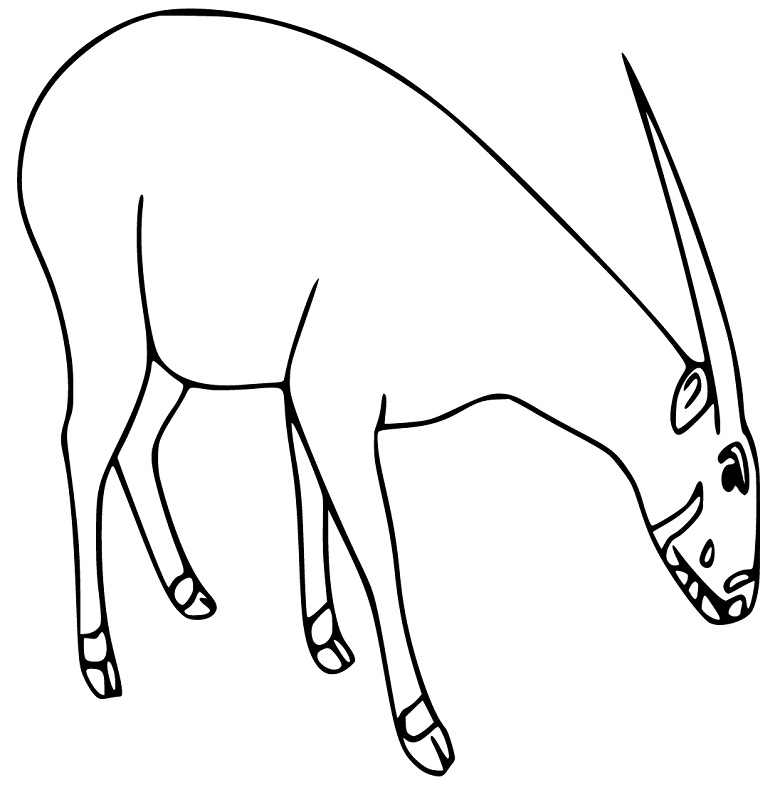 Easy Saola Coloring Page