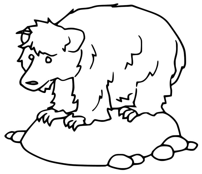 Easy Sloth Bear Coloring Page