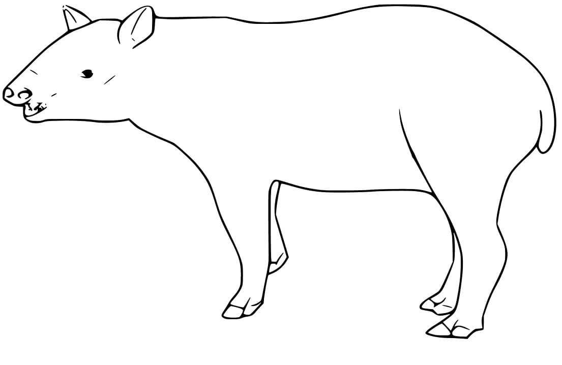Easy Tapir