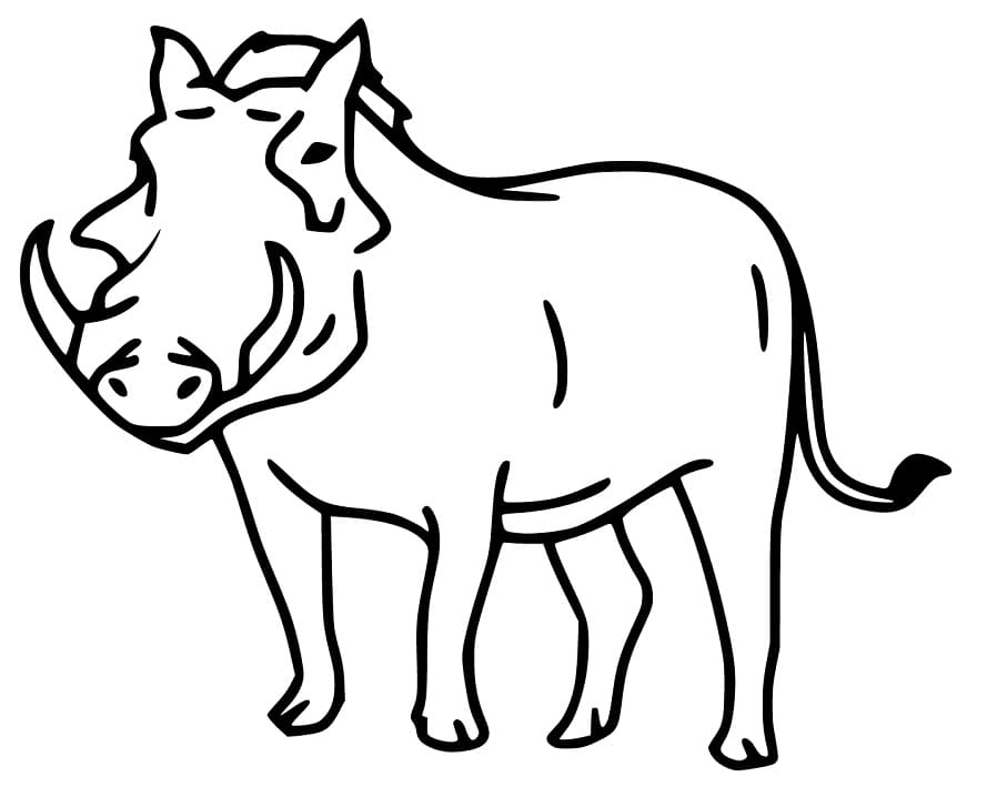 Easy Warthog Coloring Page