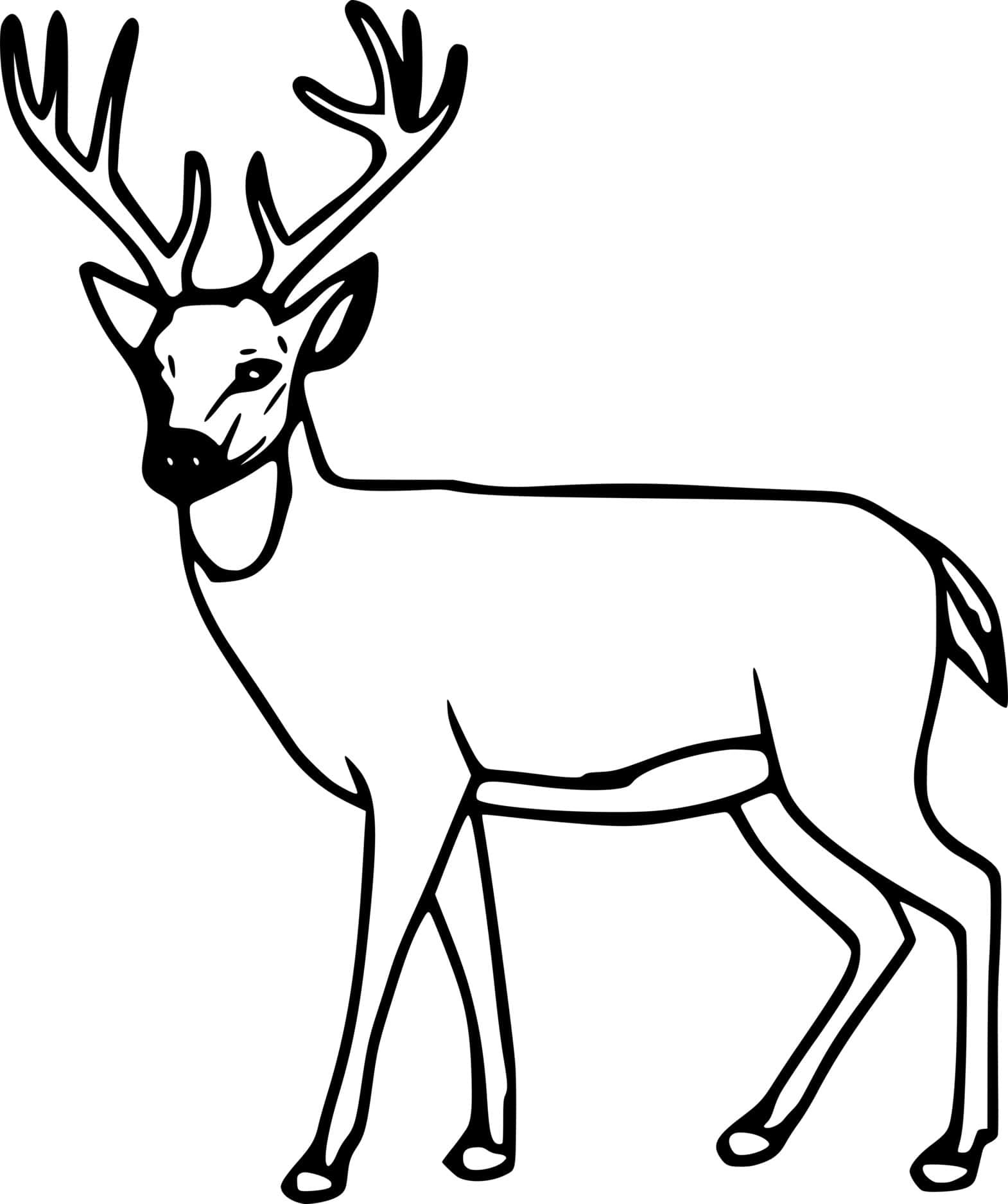 Easy Whitetail Coloring Page