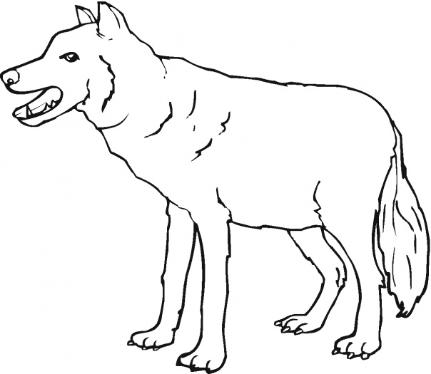 Easy Wolf Coloring Page