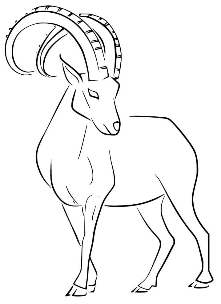 Elegant Ibex Coloring Page