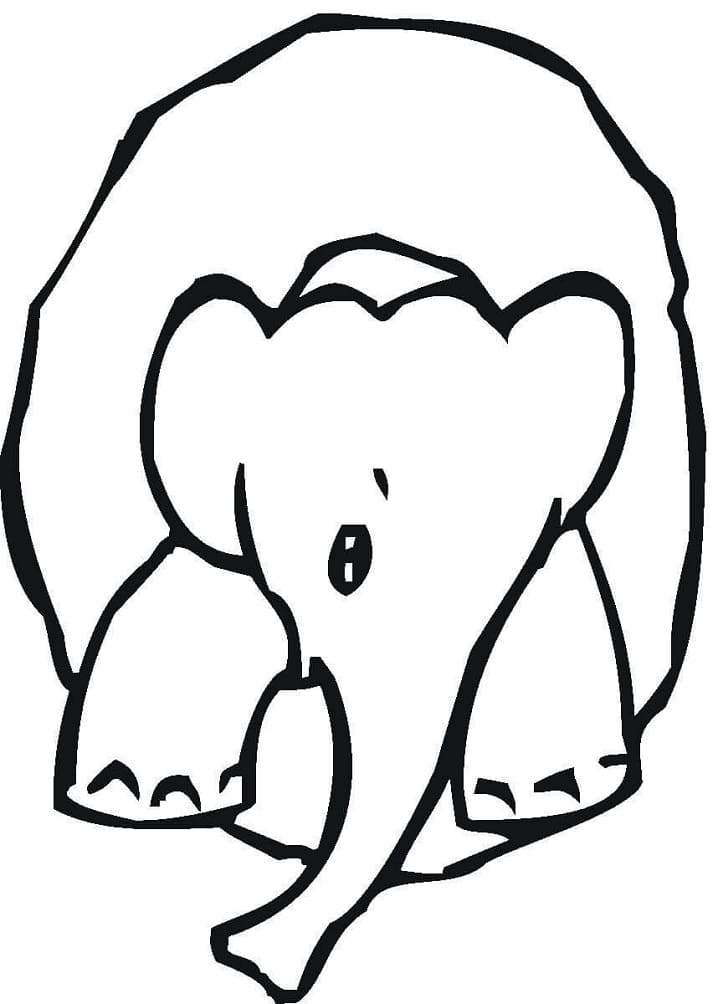 Elephant in Number 0