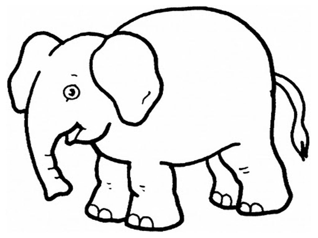 Elephant Preschool S Zoo Animals0d63 Coloring Page