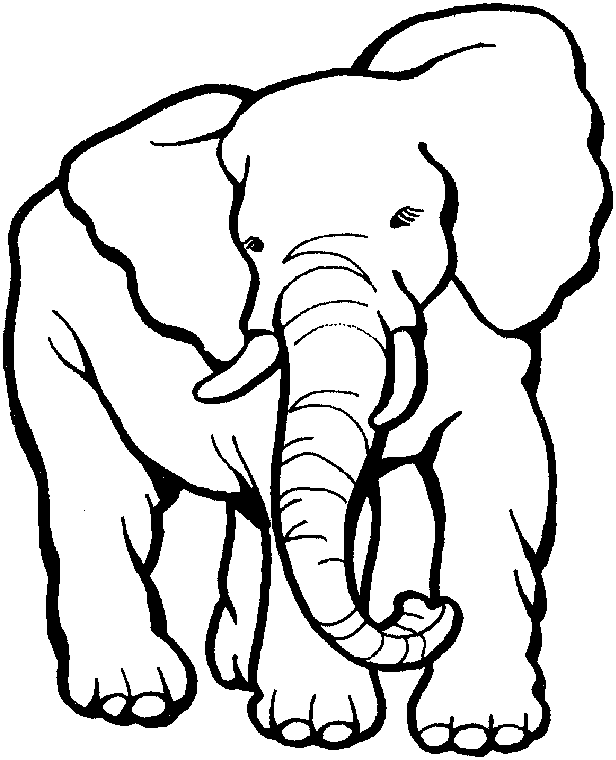 Elephant S Printable Animals5f11 Coloring Page