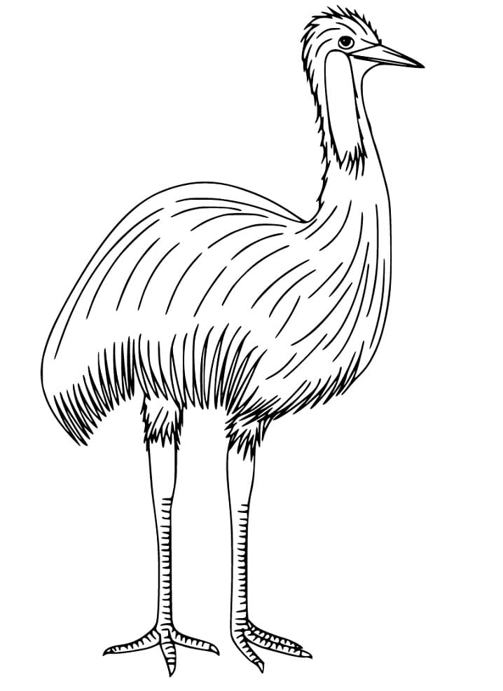 Emu 4