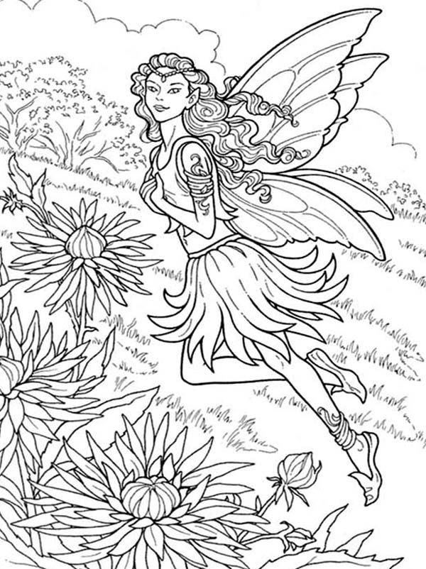 Fairy In The Chrysanthemumss