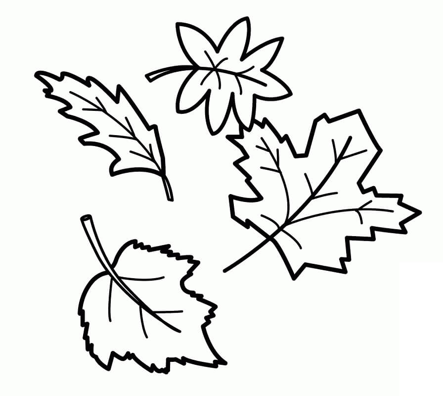 Fall Leaves 10 Coloring Page