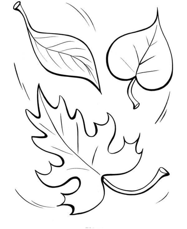 Fall Leaves 11 Coloring Page