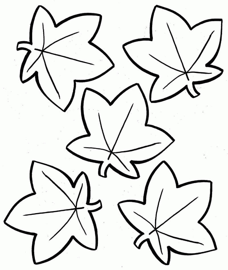Fall Leaves 12 Coloring Page