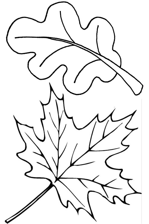 Fall Leaves 7 Coloring Page