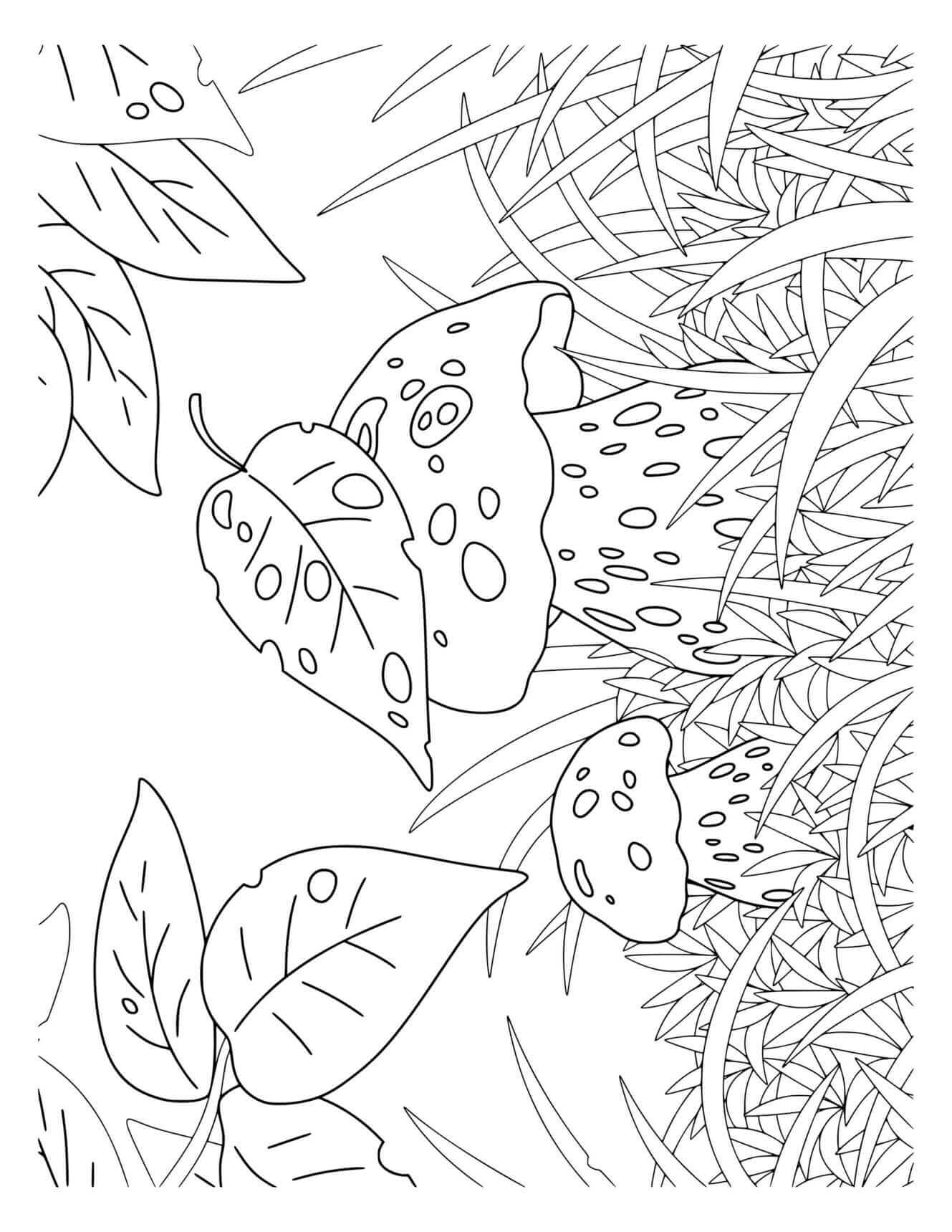 Fall Mushrooms In Long Grass Coloring Page