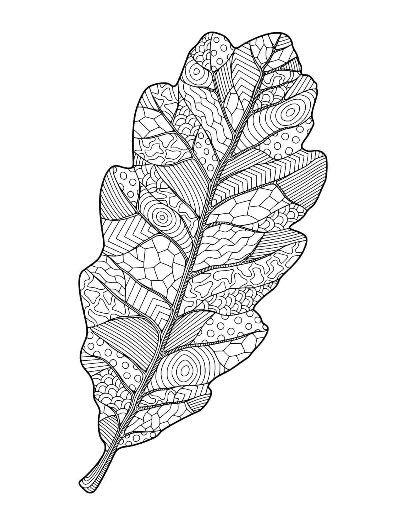 Fall Oak Leaf Doodle For Adults