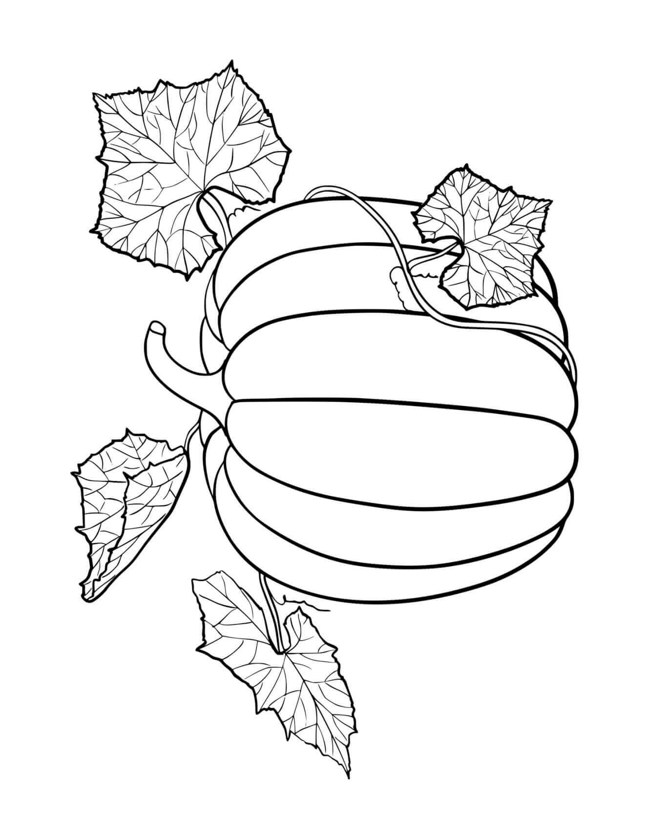 Fall Pumpkin Patterned Vine Leaves Coloring Page