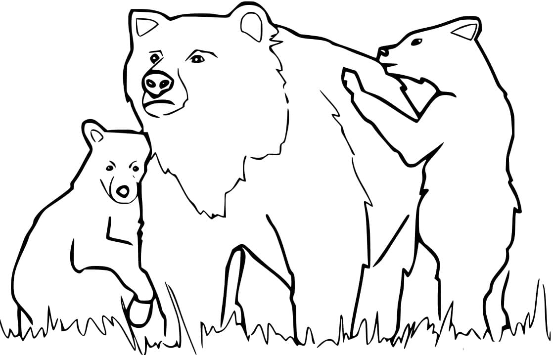 Family Black Bears