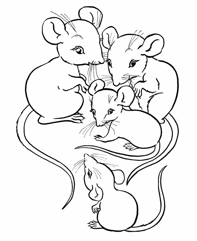 Family Of Mice
