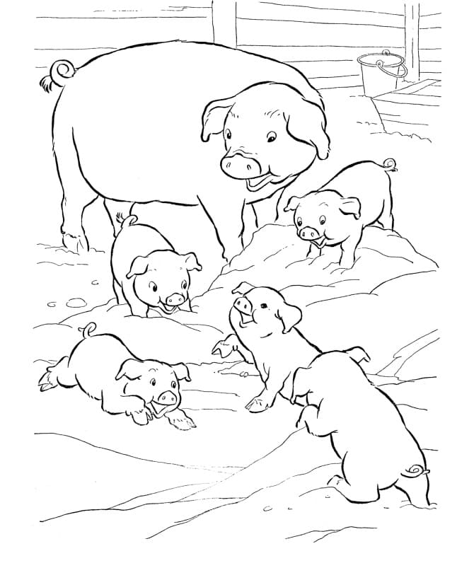 Family Pigs Coloring Page