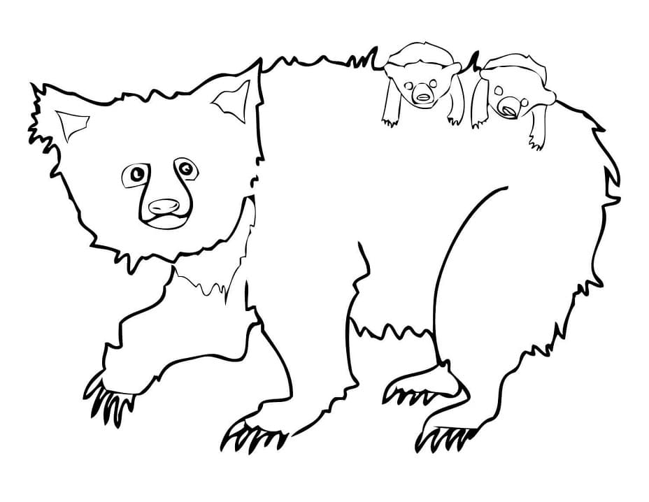 Family Sloth Bears Coloring Page