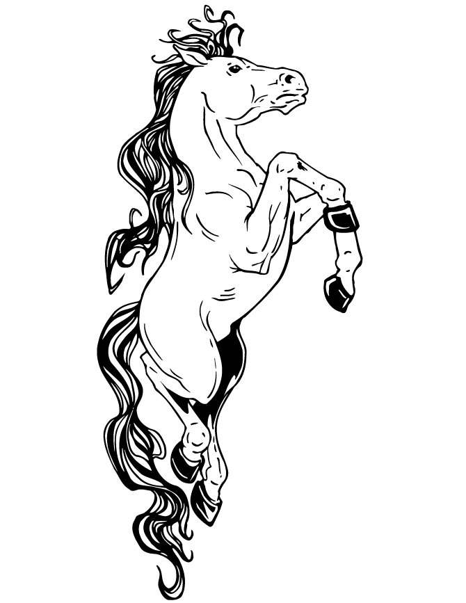 Fantasys Horse